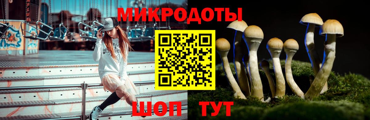 Галлюциногенные грибы прущие грибы  Вход с VPN  Псилоцибиновые грибы ЛСД  Набережные Челны 