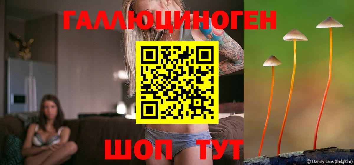 Галлюциногенные грибы Cubensis Набережные Челны